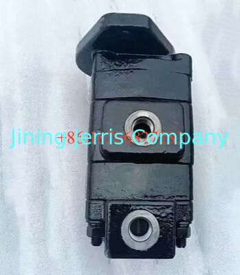 Hydraulic Gear Pump VOE14543168 14543168 for EC700B EC700C EC700bhr Excavator Parts